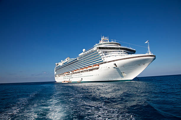Business Cruise Charter