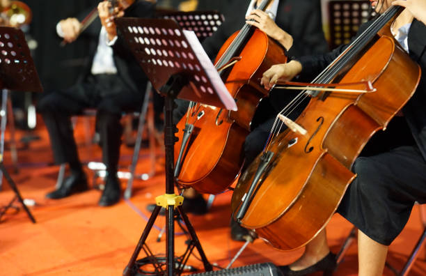 Central London Concert Chauffeur Services