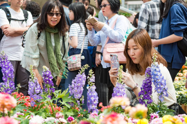 Chelsea Flower Show Chauffeur Services