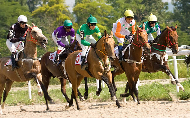 Private Driver Royal Ascot