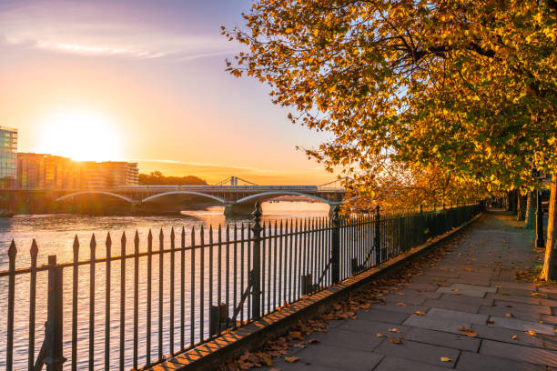 Kensington Chauffeur Services