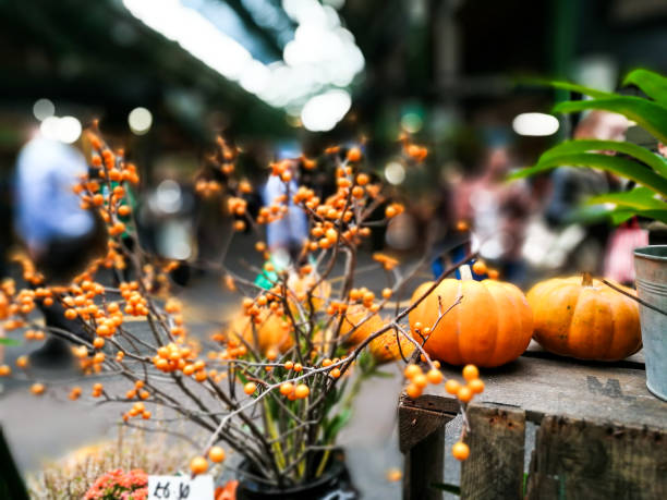 BFI festival screening