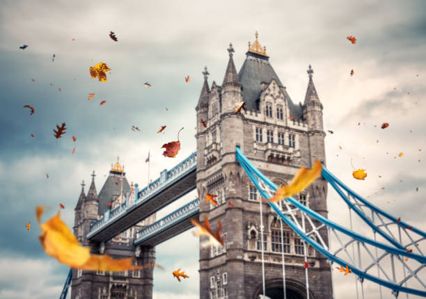 London Relaxed Sightseeing Chauffeur