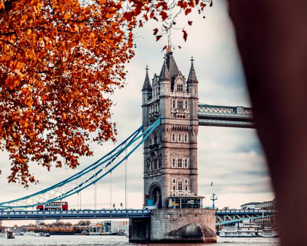 Private Driver for Tours in London