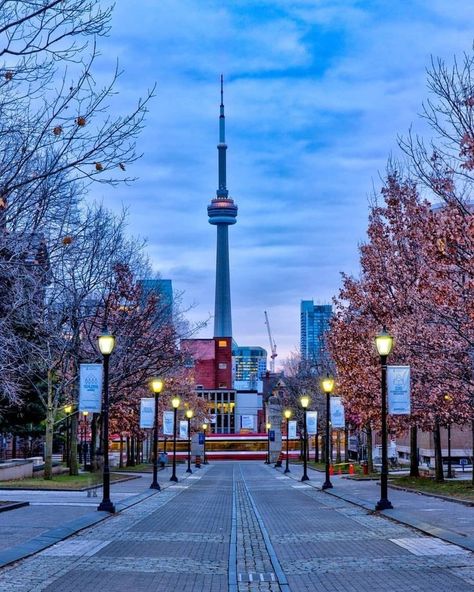 Private Sightseeing Tours London