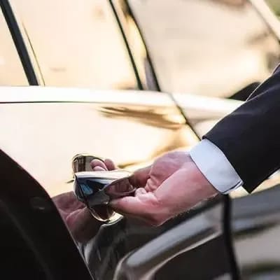 Private Driver for City Tour