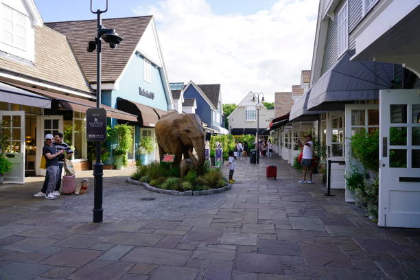 Luxury chauffeur shopping trip to Bicester Village