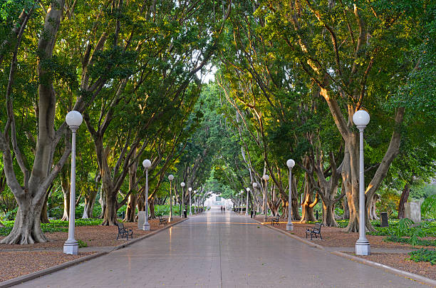 Hourly chauffeur hire Hyde Park London